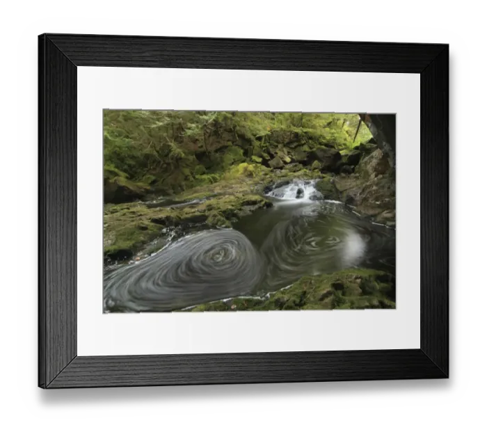 Framed Print : Stream with eddies in temperate coastal rainforest, Coast Mountains, Great Bear Rainforest, British Columbia, Canada Framed Print : Stream with eddies in temperate coastal rainforest, Coast Mountains, Great Bear Rainforest, British Columbia, Canada