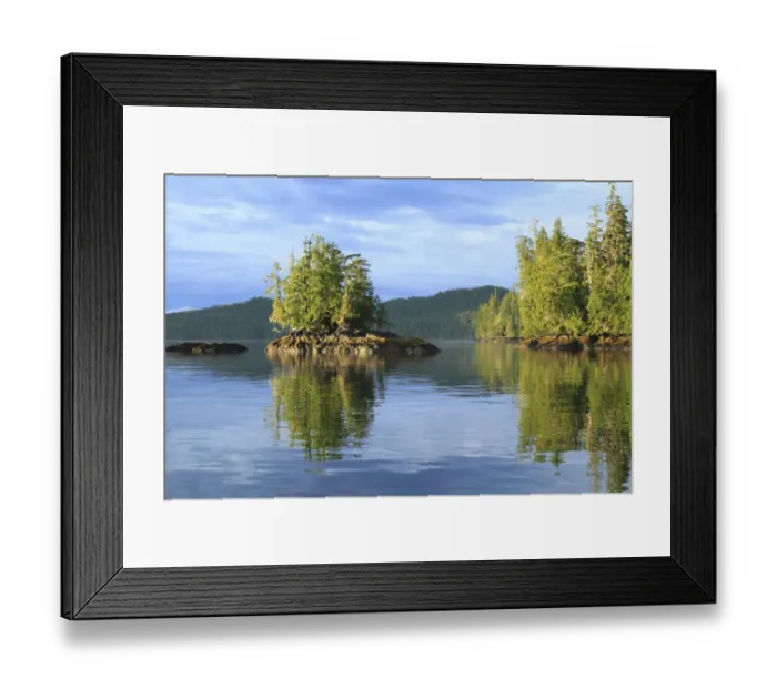 Framed Print : View of islet and temperate coastal rainforest in evening, Lama Passage, Inside Passage, Coast Mountains