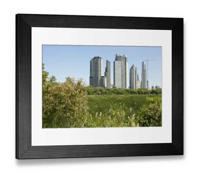 Framed Print : View of wetland habitat with city skyscraper in background, Costanera Sur Ecological Reserve, Rio de la Plata Framed Print : View of wetland habitat with city skyscraper in background, Costanera Sur Ecological Reserve, Rio de la Plata