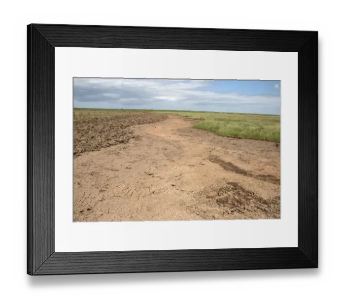 Framed Print : Habitat restoration work, Deepdale Marsh, Burnham Deepdale, North Norfolk, England