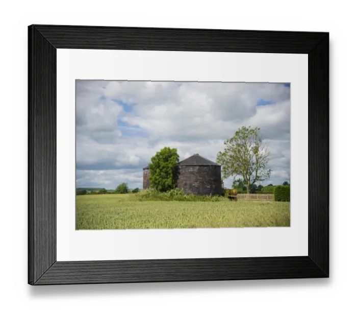 Framed Print : View of corrugated iron grain bins and Wheat (Triticum aestivum) field, near Alford, Lincolnshire, England, June Framed Print : View of corrugated iron grain bins and Wheat (Triticum aestivum) field, near Alford, Lincolnshire, England, June