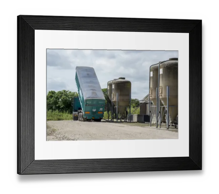Framed Print : Pig farming, BOCM Pauls lorry delivering feed to storage bins on pig farm, Driffield, East Yorkshire, England, June Framed Print : Pig farming, BOCM Pauls lorry delivering feed to storage bins on pig farm, Driffield, East Yorkshire, England, June