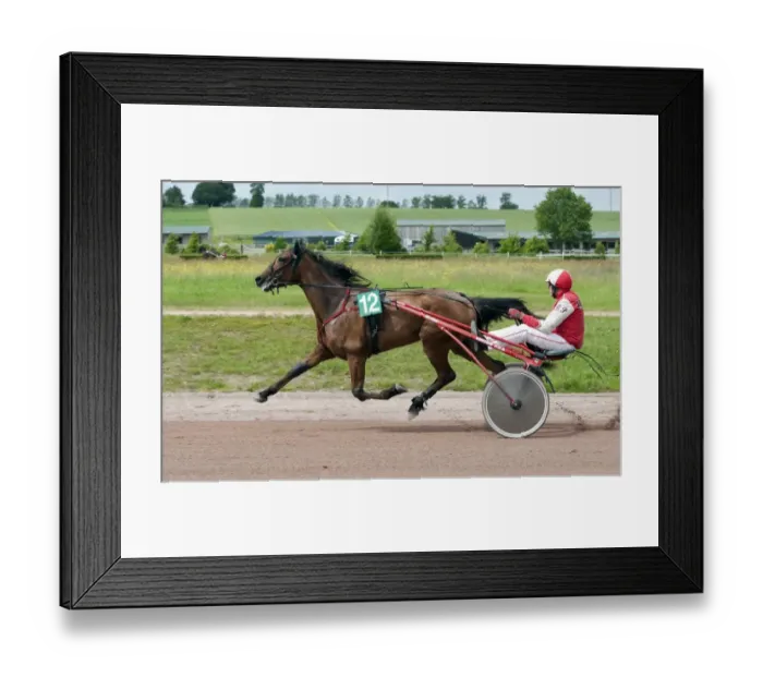 Framed Print : Horse racing, harness racing at racecourse, Vire Racecourse, Normandy, France, May Framed Print : Horse racing, harness racing at racecourse, Vire Racecourse, Normandy, France, May