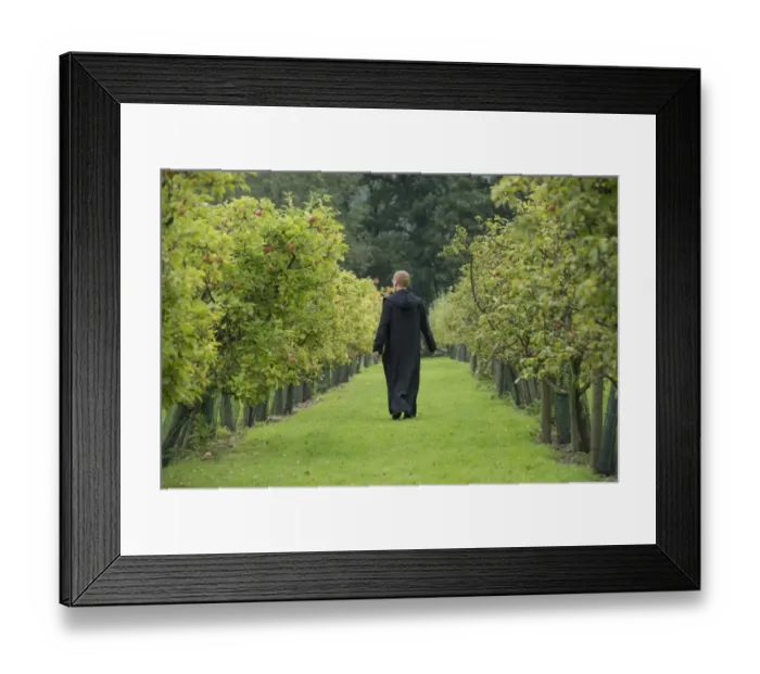 Framed Print : Cultivated Apple (Malus domestica) orchard, monk walking between trees at Benedictine monastery, Ampleforth Abbey
