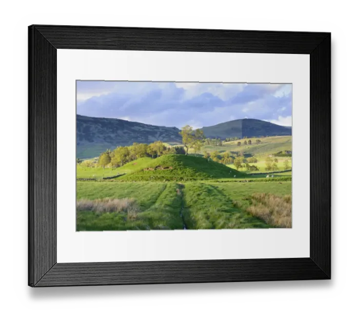 Framed Print : View of grass covered mounds and sheep grazing in pasture, Glen Shee, Cairngorms N. P Framed Print : View of grass covered mounds and sheep grazing in pasture, Glen Shee, Cairngorms N. P