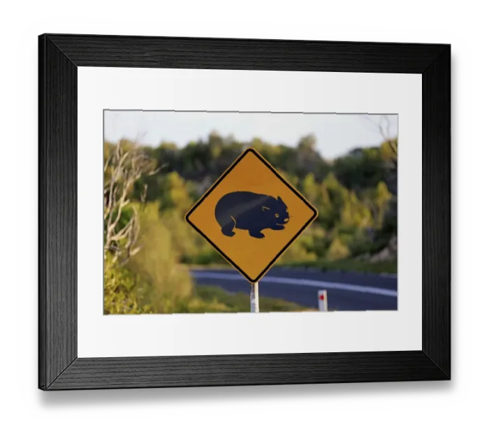 Framed Print : Wombat crossing road sign, Wilsons Promontory N. P. Victoria, Australia, November Framed Print : Wombat crossing road sign, Wilsons Promontory N. P. Victoria, Australia, November