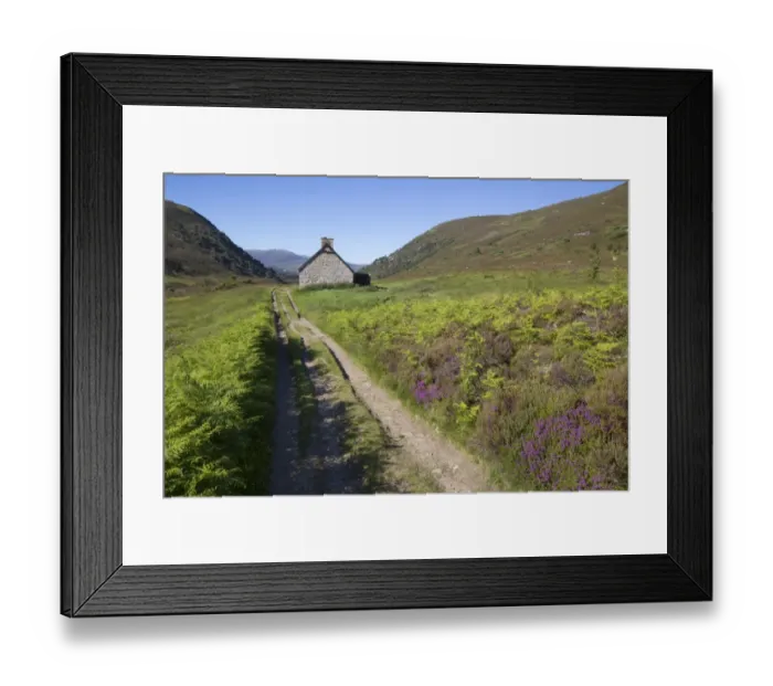 Framed Print : View of heather moorland with trail and hut, Glenmore Forest Park, Cairngorms N. P. Highlands, Scotland, July Framed Print : View of heather moorland with trail and hut, Glenmore Forest Park, Cairngorms N. P. Highlands, Scotland, July