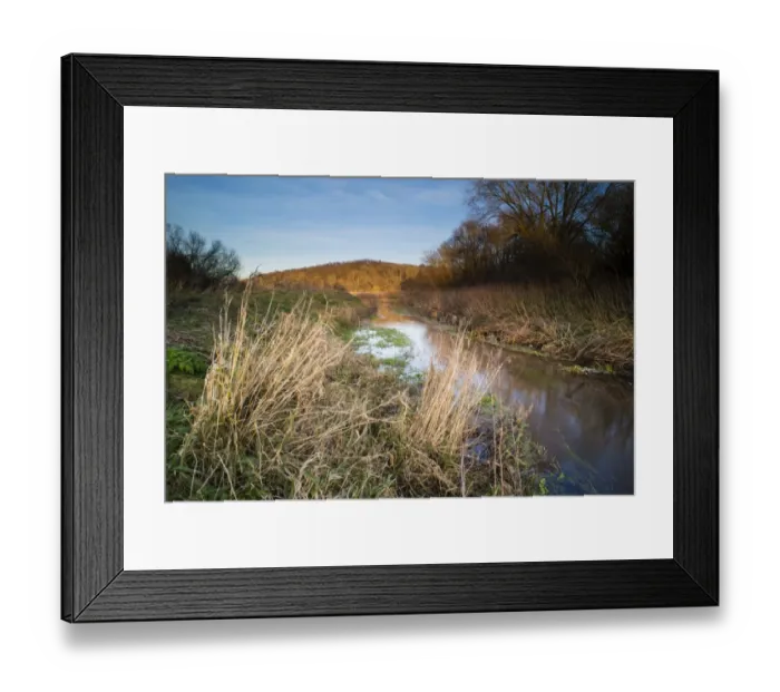 Framed Print : Riverbank habitat on river tributary, Little Stour, Canterbury, Kent, England, January Framed Print : Riverbank habitat on river tributary, Little Stour, Canterbury, Kent, England, January