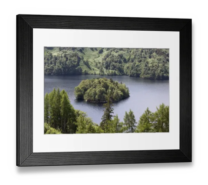 Framed Print : View of freshwater loch with forested island, Loch Katrine, Stirling, Scotland, July Framed Print : View of freshwater loch with forested island, Loch Katrine, Stirling, Scotland, July
