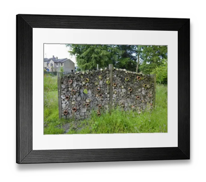 Framed Print : Bug hotel in conservation area, Chipping, Forest of Bowland, Lancashire, England, July Framed Print : Bug hotel in conservation area, Chipping, Forest of Bowland, Lancashire, England, July