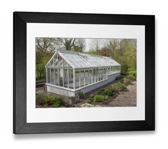 Framed Print : White greenhouse in garden, Chipping, Lancashire, England, April Framed Print : White greenhouse in garden, Chipping, Lancashire, England, April