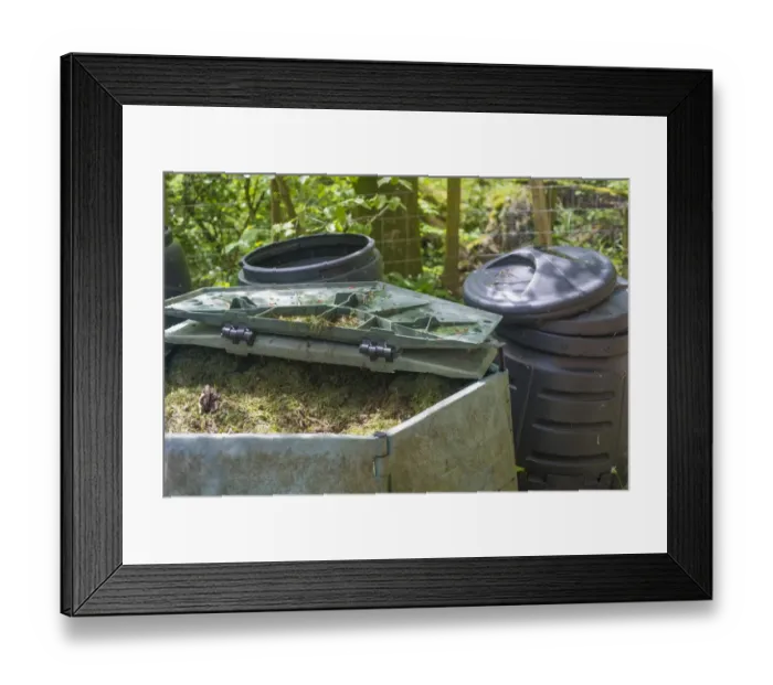Framed Print : Mowed grass in garden compost bins, Kirk House, Chipping, Preston, Lancashire, England, May