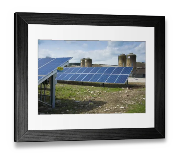 Framed Print : Solar panels used to generate electricity for pig farm, Driffield, East Yorkshire, England, June Framed Print : Solar panels used to generate electricity for pig farm, Driffield, East Yorkshire, England, June
