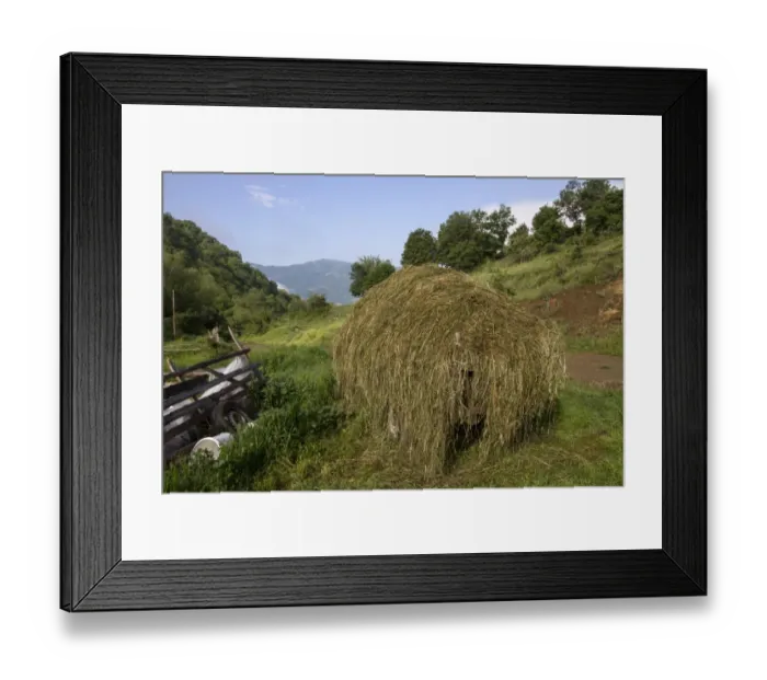 Framed Print : Fresh cut hay on old wooden cart