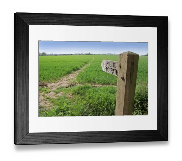 Framed Print : Public footpath sign at edge of arable field, with footpath through cereal crop, Mendlesham, Suffolk, England, April Framed Print : Public footpath sign at edge of arable field, with footpath through cereal crop, Mendlesham, Suffolk, England, April