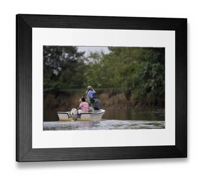 Framed Print : Birdwatching from boat on river in rainforest, Cano Negro, Costa Rica, February Framed Print : Birdwatching from boat on river in rainforest, Cano Negro, Costa Rica, February