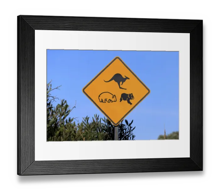 Framed Print : Kangaroo, wombat and koala crossing road sign, Victoria, Australia, November Framed Print : Kangaroo, wombat and koala crossing road sign, Victoria, Australia, November