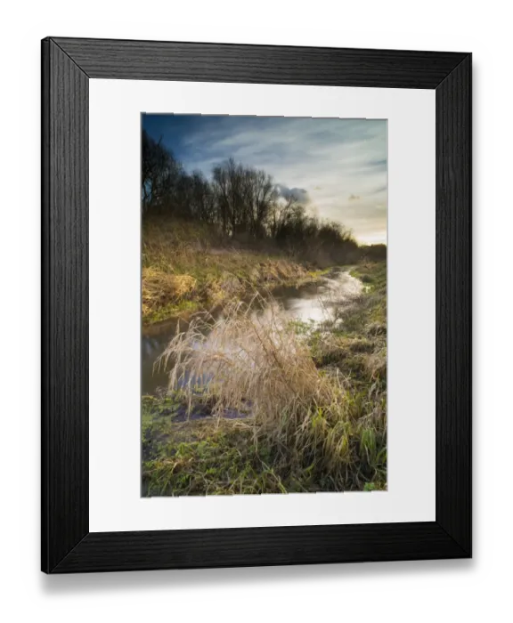 Framed Print : Riverbank habitat on river tributary, Little Stour, Canterbury, Kent, England, January Framed Print : Riverbank habitat on river tributary, Little Stour, Canterbury, Kent, England, January