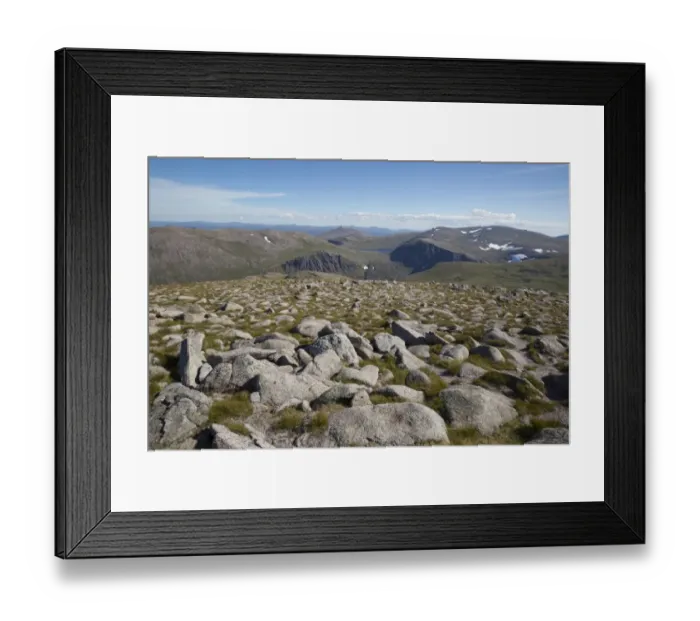 Framed Print : View of mountain summit, Cairn Gorm, Cairngorms N. P. Highlands, Scotland, July Framed Print : View of mountain summit, Cairn Gorm, Cairngorms N. P. Highlands, Scotland, July