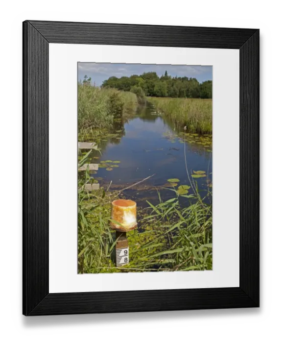 Framed Print : Water level depth marker in freshwater dyke, Sutton Fen RSPB Reserve, The Broads, Norfolk, England, July Framed Print : Water level depth marker in freshwater dyke, Sutton Fen RSPB Reserve, The Broads, Norfolk, England, July