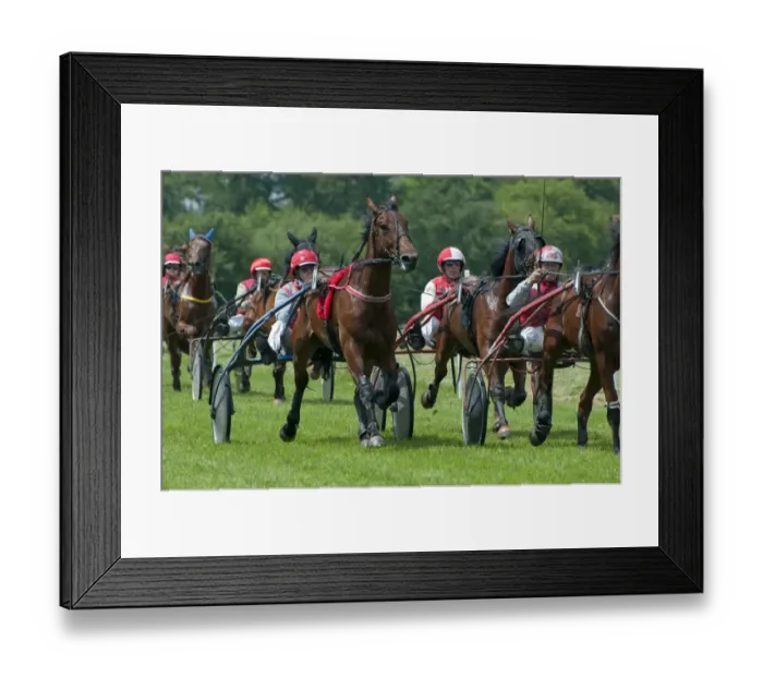 Framed Print : Horse racing, harness racing at racecourse, Bourigny Racecourse, Normandy, France, June Framed Print : Horse racing, harness racing at racecourse, Bourigny Racecourse, Normandy, France, June