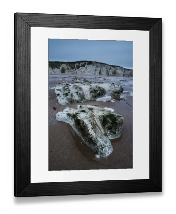 Framed Print : Chalk rocks on beach at low tide in morning, Kingsgate Bay, Broadstairs, Kent, England, January Framed Print : Chalk rocks on beach at low tide in morning, Kingsgate Bay, Broadstairs, Kent, England, January