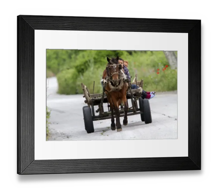 Framed Print : Old farm horse and cart on country road Bulgaria