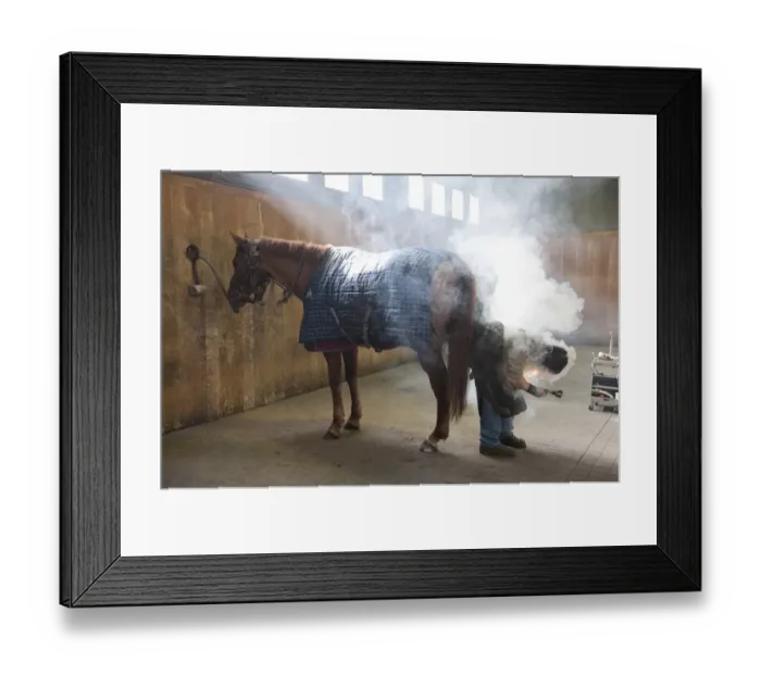 Framed Print : Farrier shoeing horse, Haras du Pin, Normandy, France, March Framed Print : Farrier shoeing horse, Haras du Pin, Normandy, France, March