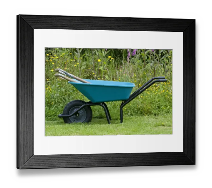 Framed Print : Garden wheelbarrow with tools, on lawn beside wildflower border, Normandy, France, May