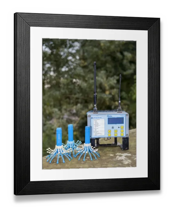 Framed Print : Cattle farming, electronic calving thermometer, which is placed inside cow