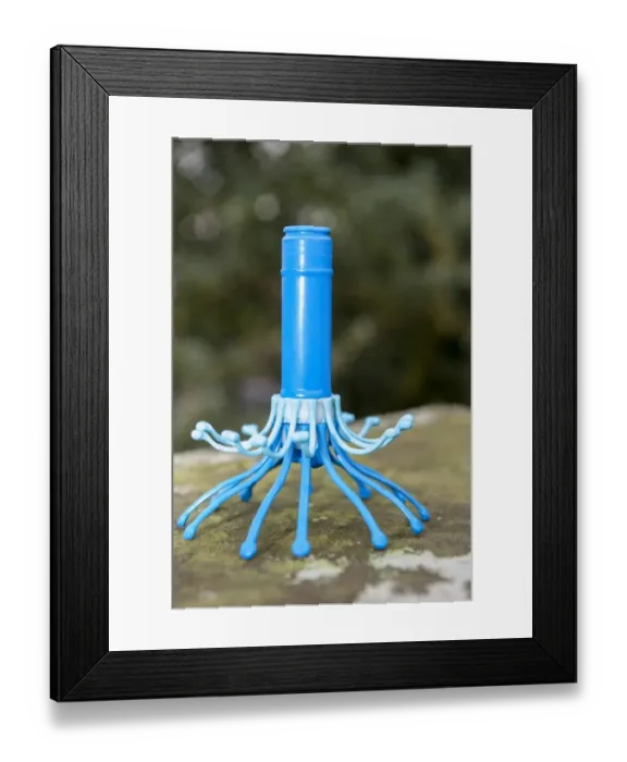Framed Print : Cattle farming, electronic calving thermometer, which is placed inside cow Framed Print : Cattle farming, electronic calving thermometer, which is placed inside cow