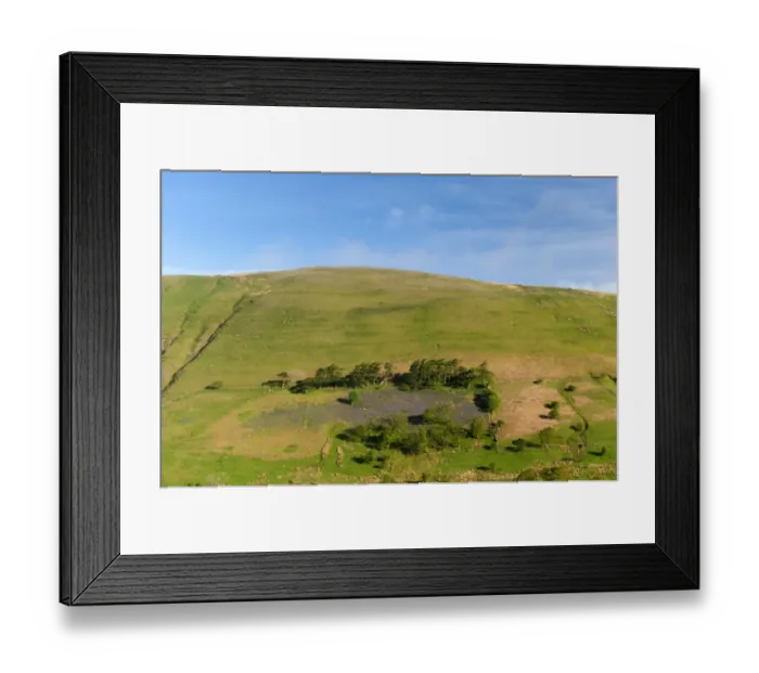 Framed Print : View of fellside with Bluebell (Endymion non-scriptus) patch growing amongst scattered trees on slope, Cumbria Framed Print : View of fellside with Bluebell (Endymion non-scriptus) patch growing amongst scattered trees on slope, Cumbria