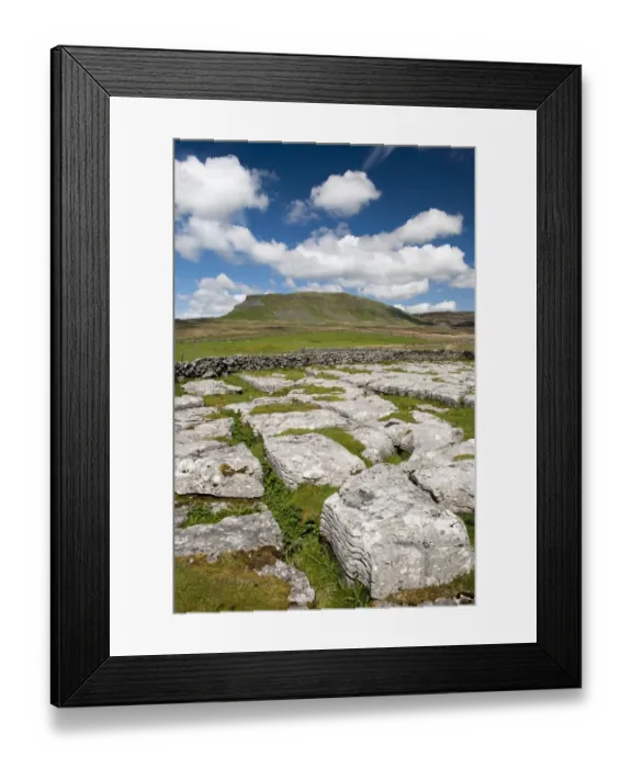 Framed Print : View of limestone outcrop, with Pen-y-ghent in background, Yorkshire Dales N. P. North Yorkshire, England, May Framed Print : View of limestone outcrop, with Pen-y-ghent in background, Yorkshire Dales N. P. North Yorkshire, England, May
