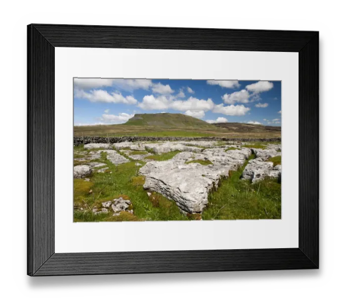 Framed Print : View of limestone outcrop, with Pen-y-ghent in background, Yorkshire Dales N. P. North Yorkshire, England, May