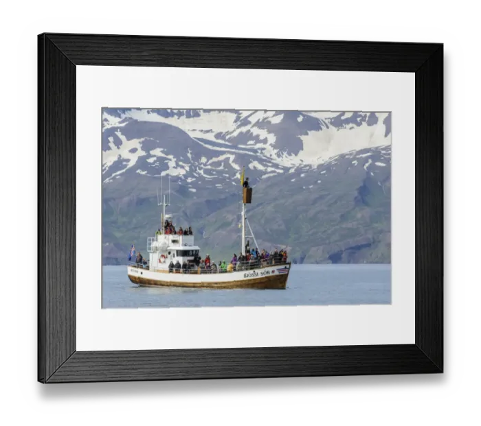 Framed Print : Commercial whalewatching boat at sea, Skjalfandi Bay, Iceland, July Framed Print : Commercial whalewatching boat at sea, Skjalfandi Bay, Iceland, July