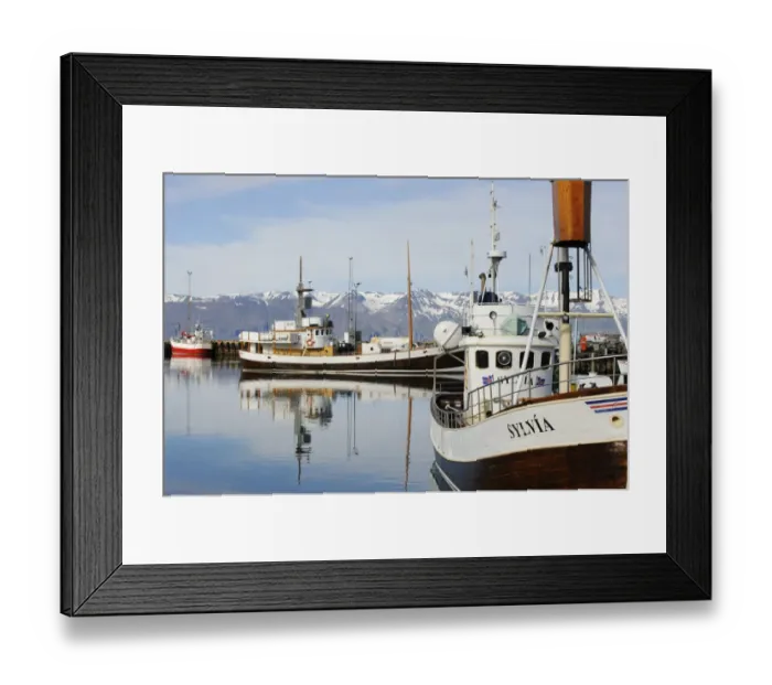 Framed Print : Commercial whalewatching boats in coastal harbour, Husavik, Skjalfandi Bay, Iceland, July Framed Print : Commercial whalewatching boats in coastal harbour, Husavik, Skjalfandi Bay, Iceland, July