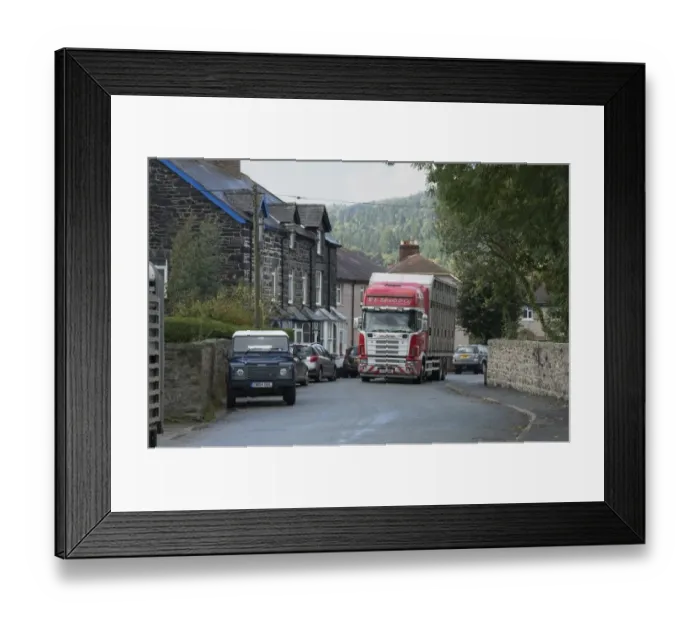 Framed Print : Livestock lorry travelling through town on way to market, Llanrwst Cattle Mart, Llanrwst, Conwy, North Wales, October