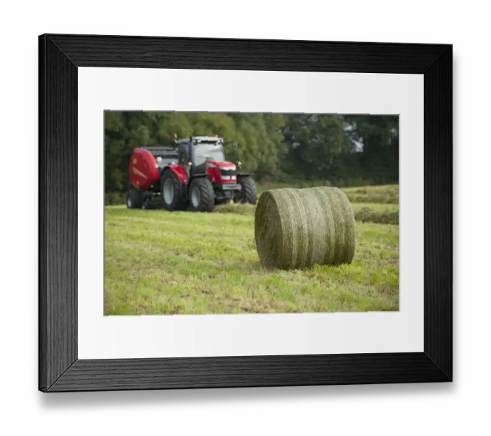 Framed Print : Round bale of silage in field, with tractor and round baler in background, Cheshire, England, September Framed Print : Round bale of silage in field, with tractor and round baler in background, Cheshire, England, September