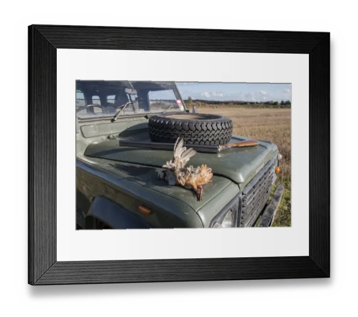 Framed Print : Game shooting, a Red-legged Partridge with 12 bore shot gun on Landrover bonnet Framed Print : Game shooting, a Red-legged Partridge with 12 bore shot gun on Landrover bonnet