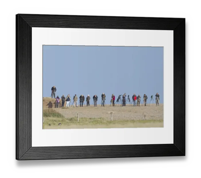 Framed Print : Birdwatching, twitchers with binoculars and telescopes, standing on shingle beach, Cley-next-the-sea, Norfolk, England Framed Print : Birdwatching, twitchers with binoculars and telescopes, standing on shingle beach, Cley-next-the-sea, Norfolk, England