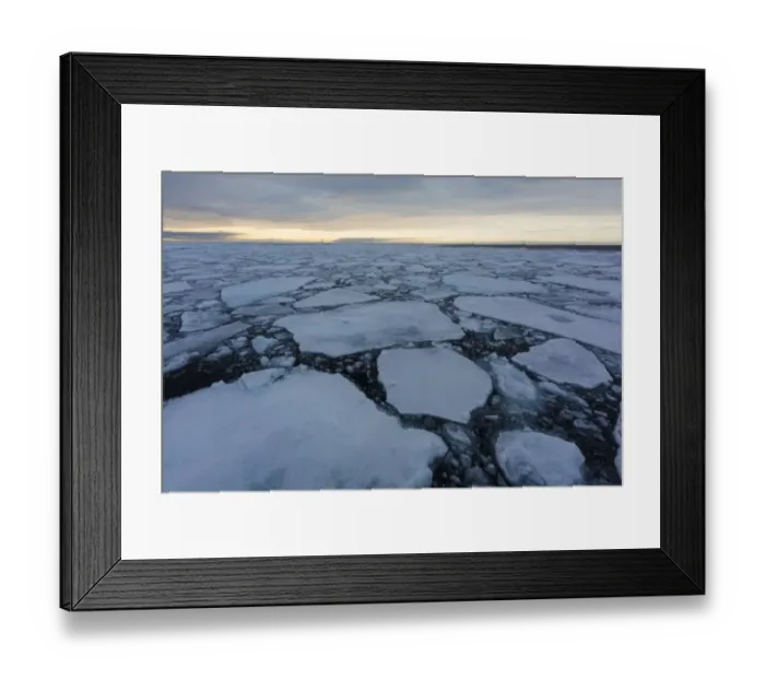 Framed Print : View of ocean with icefloes in evening light, Erik Eriksenstretet, Svalbard, August Framed Print : View of ocean with icefloes in evening light, Erik Eriksenstretet, Svalbard, August