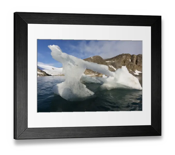Framed Print : Melting glacial iceberg in fjord, Raudfjorden, Spitsbergen, Svalbard, August Framed Print : Melting glacial iceberg in fjord, Raudfjorden, Spitsbergen, Svalbard, August