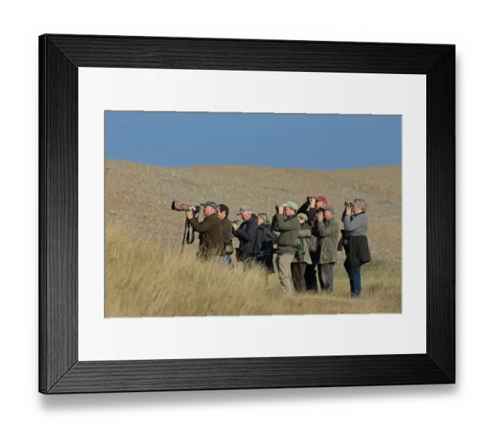 Framed Print : Group of birdwatchers with binoculars and camera with telephoto lens at coast, Norfolk, England, September Framed Print : Group of birdwatchers with binoculars and camera with telephoto lens at coast, Norfolk, England, September