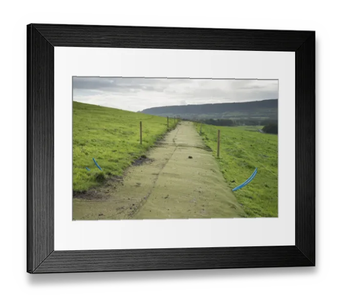 Framed Print : Cattle farming, astroturf cow track for dairy cows, Whitewell, Lancashire, England, October Framed Print : Cattle farming, astroturf cow track for dairy cows, Whitewell, Lancashire, England, October