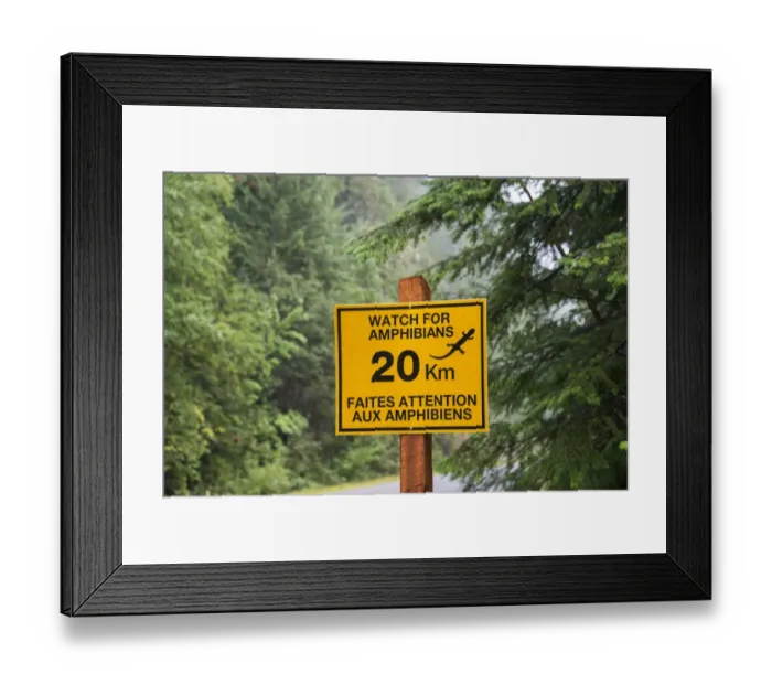 Framed Print : Watch For Amphibians bilingual sign beside road in coniferous forest, Mount Revelstoke N. P Framed Print : Watch For Amphibians bilingual sign beside road in coniferous forest, Mount Revelstoke N. P