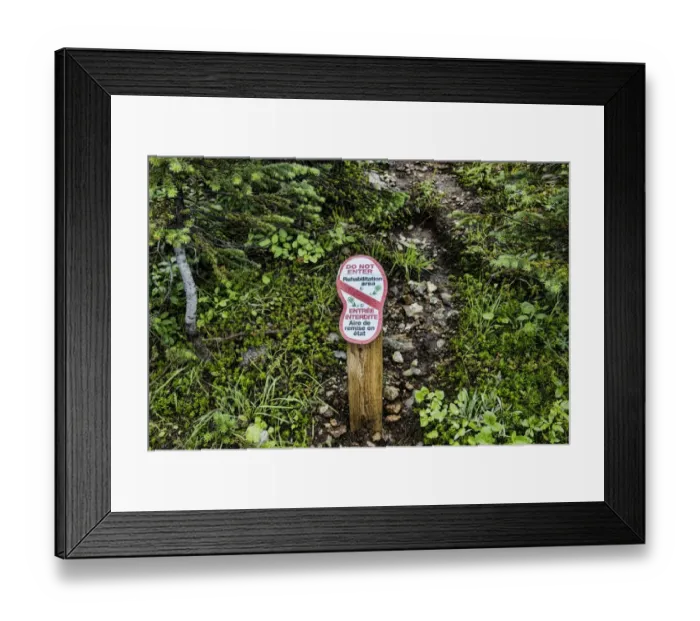 Framed Print : Do Not Enter, Rehabilitation area bilingual sign in coniferous forest, Mount Revelstoke N. P Framed Print : Do Not Enter, Rehabilitation area bilingual sign in coniferous forest, Mount Revelstoke N. P