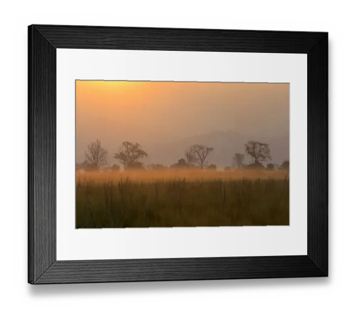 Framed Print : View of grassland habitat at dawn, Jim Corbett N. P. Uttarkhand, India, May Framed Print : View of grassland habitat at dawn, Jim Corbett N. P. Uttarkhand, India, May