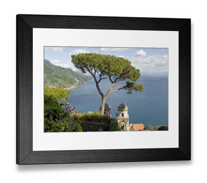 Framed Print : Stone Pine (Pinus pinea) habit, View of the Amalfi Coast and chapel from the gardens of the Villa Rufolo, Ravello Framed Print : Stone Pine (Pinus pinea) habit, View of the Amalfi Coast and chapel from the gardens of the Villa Rufolo, Ravello