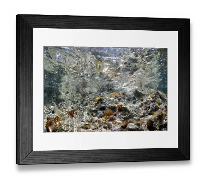 Framed Print : Shallow wave swept pool, Pondfield Cove, Isle of Purbeck, Dorset, England, July Framed Print : Shallow wave swept pool, Pondfield Cove, Isle of Purbeck, Dorset, England, July