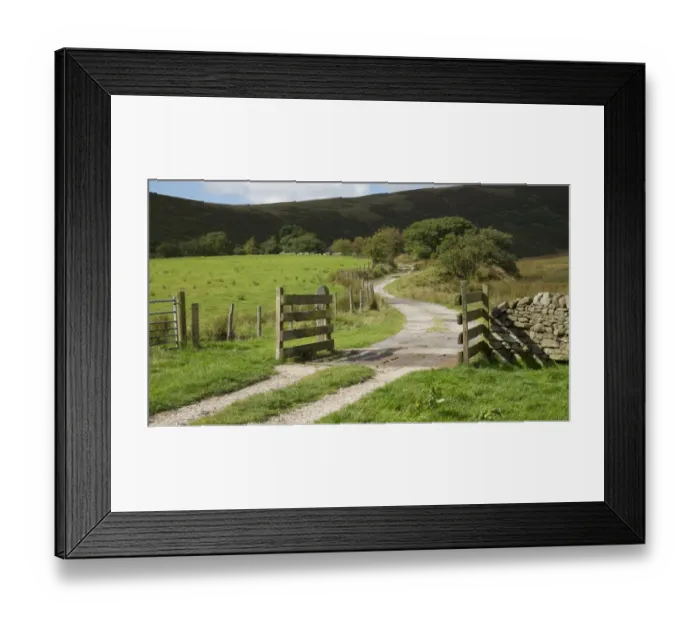 Framed Print : Farm track with cattle grid, Chipping, Forest of Bowland, Lancashire, England, September Framed Print : Farm track with cattle grid, Chipping, Forest of Bowland, Lancashire, England, September